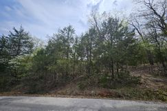Undeveloped Land for sale in Taney County, Missouri