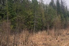 Undeveloped Land for sale in Cheboygan County, Michigan