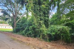 Undeveloped Land for sale in Butts County, Georgia