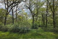 Property for sale in Will County, Illinois