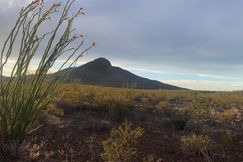 Undeveloped Land for sale in Brewster County, Texas