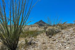 Undeveloped Land for sale in Brewster County, Texas