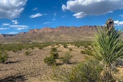 Undeveloped Land for sale in Brewster County, Texas