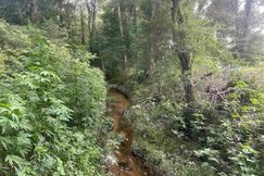 Undeveloped Land for sale in Tangipahoa Parish, Louisiana
