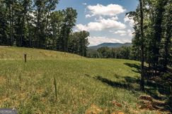 Undeveloped Land for sale in Fannin County, Georgia