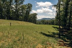 Undeveloped Land for sale in Fannin County, Georgia