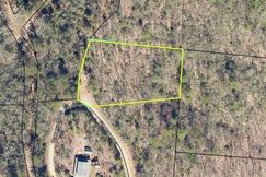 Undeveloped Land for sale in Fannin County, Georgia