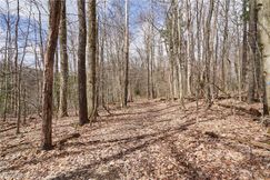 Undeveloped Land for sale in Geauga County, Ohio