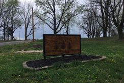 Undeveloped Land for sale in Union County, Illinois
