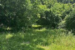 Undeveloped Land for sale in Union County, Illinois