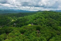 Undeveloped Land for sale in Fannin County, Georgia
