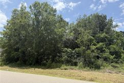 Undeveloped Land for sale in Tangipahoa Parish, Louisiana