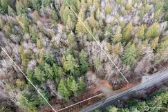 Undeveloped Land for sale in Pierce County, Washington
