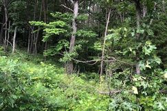 Undeveloped Land for sale in Lawrence County, Kentucky