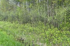 Undeveloped Land for sale in Lake County, Ohio