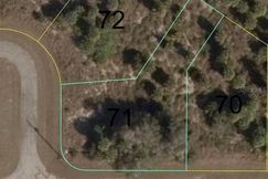 Undeveloped Land for sale in Glades County, Florida