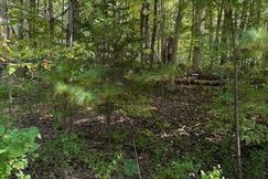 Undeveloped Land for sale in Greene County, New York