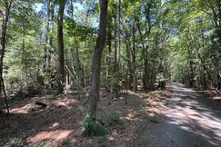 Undeveloped Land for sale in Mathews County, Virginia