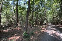 Undeveloped Land for sale in Mathews County, Virginia