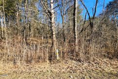 Undeveloped Land for sale in Greene County, New York