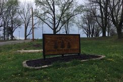 Undeveloped Land for sale in Union County, Illinois