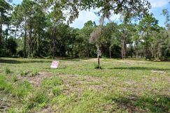 Undeveloped Land for sale in Hendry County, Florida