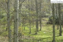 Undeveloped Land for sale in Watauga County, North Carolina