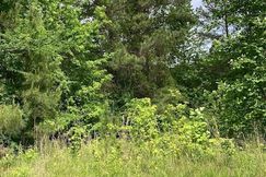 Lakefront Property for sale in Morgan County, Alabama