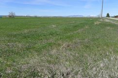 Undeveloped Land for sale in Judith Basin County, Montana