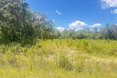 Undeveloped Land for sale in Marion County, Florida