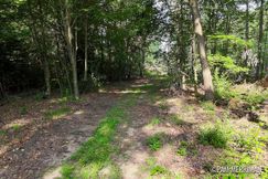 Undeveloped Land for sale in Montcalm County, Michigan