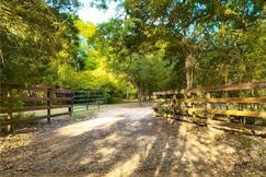 Undeveloped Land for sale in Burleson County, Texas
