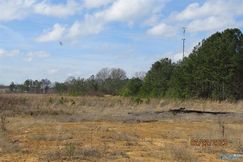 Undeveloped Land for sale in Marshall County, Alabama