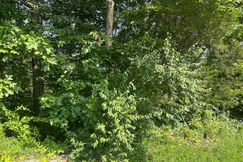 Undeveloped Land for sale in Clay County, Tennessee