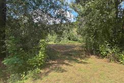 Undeveloped Land for sale in Marshall County, Alabama