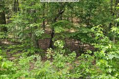 Undeveloped Land for sale in Saline County, Arkansas