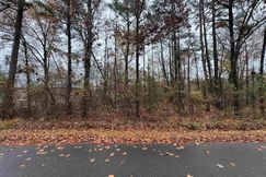 Undeveloped Land for sale in Saline County, Arkansas