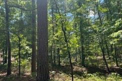 Undeveloped Land for sale in Garland County, Arkansas
