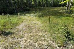 Undeveloped Land for sale in Alcona County, Michigan