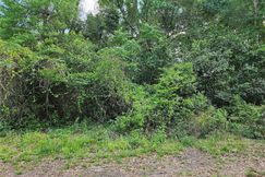 Undeveloped Land for sale in Marion County, Florida