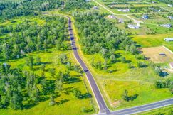 Undeveloped Land for sale in Beltrami County, Minnesota
