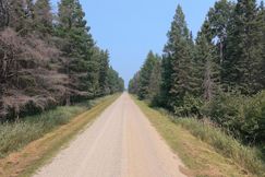 Undeveloped Land for sale in Beltrami County, Minnesota