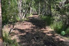Undeveloped Land for sale in Saint Tammany Parish, Louisiana