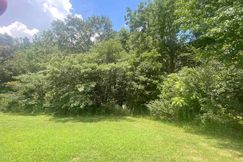 Undeveloped Land for sale in Marshall County, Alabama