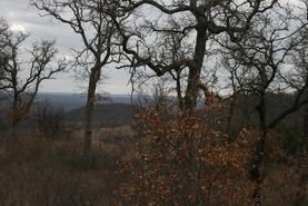 Ranch Property for sale in Palo Pinto County, Texas