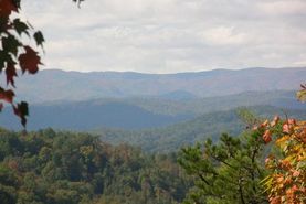 Undeveloped Land for sale in Caldwell County, North Carolina