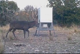 Ranch Property for sale in Edwards County, Texas