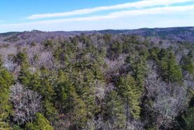 Hunting Land for sale in Polk County, North Carolina