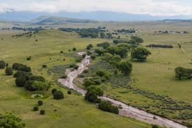 Riverfront Property for sale in Grant County, New Mexico