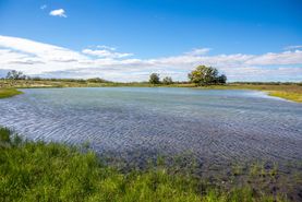 Ranch Property for sale in Frio County, Texas